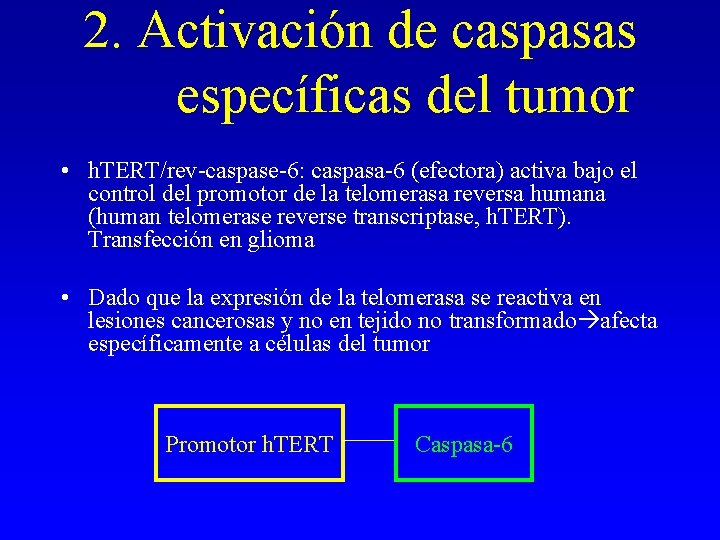2. Activación de caspasas específicas del tumor • h. TERT/rev-caspase-6: caspasa-6 (efectora) activa bajo 2. Activación de caspasas específicas del tumor • h. TERT/rev-caspase-6: caspasa-6 (efectora) activa bajo