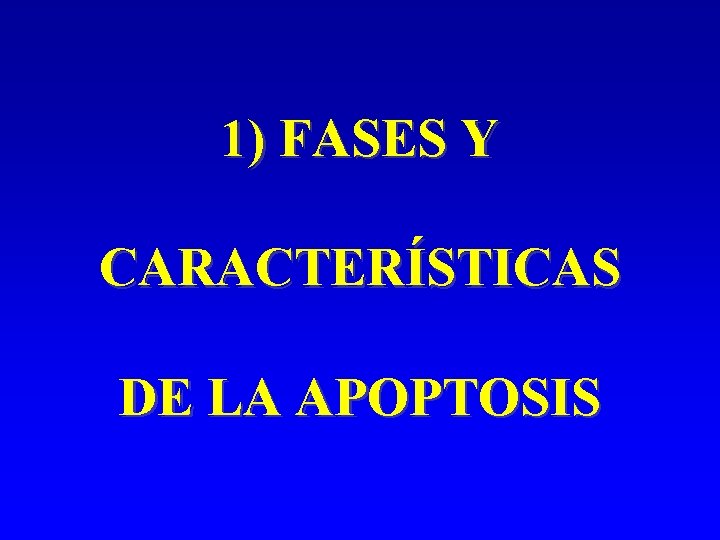1) FASES Y CARACTERÍSTICAS DE LA APOPTOSIS 1) FASES Y CARACTERÍSTICAS DE LA APOPTOSIS