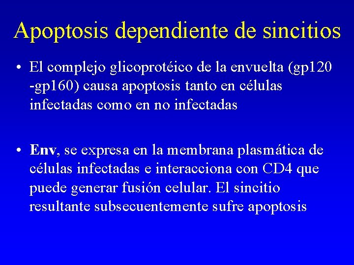 Apoptosis dependiente de sincitios • El complejo glicoprotéico de la envuelta (gp 120 -gp Apoptosis dependiente de sincitios • El complejo glicoprotéico de la envuelta (gp 120 -gp