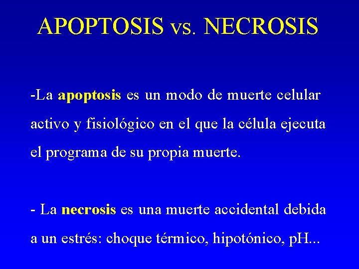 APOPTOSIS vs. NECROSIS -La apoptosis es un modo de muerte celular activo y fisiológico APOPTOSIS vs. NECROSIS -La apoptosis es un modo de muerte celular activo y fisiológico