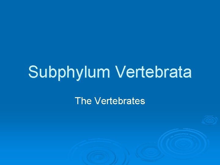 Subphylum Vertebrata The Vertebrates 