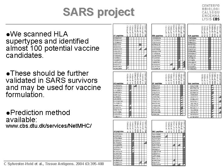 SARS project l. We scanned HLA supertypes and identified almost 100 potential vaccine candidates.