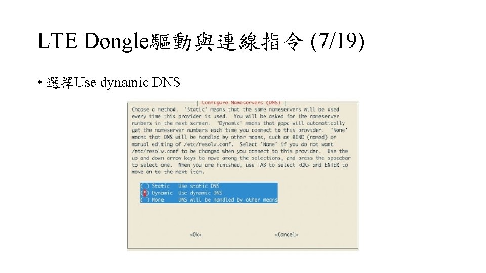 LTE Dongle驅動與連線指令 (7/19) • 選擇Use dynamic DNS 