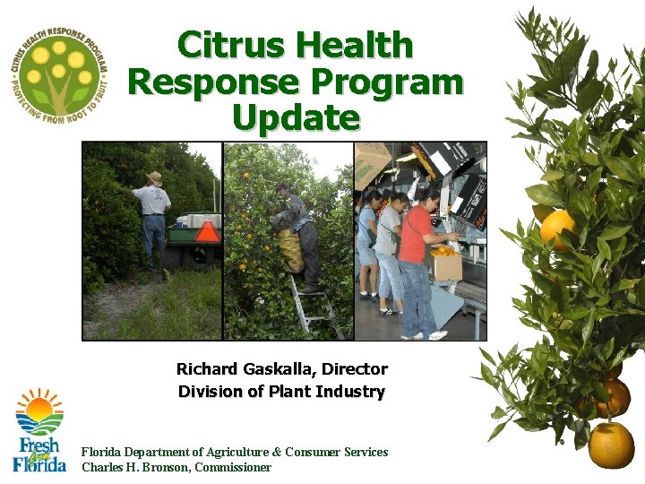 Citrus Health Response Program Update Richard Gaskalla, Director Division of Plant Industry Florida Department Citrus Health Response Program Update Richard Gaskalla, Director Division of Plant Industry Florida Department