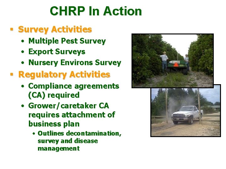 CHRP In Action § Survey Activities • • • Multiple Pest Survey Export Surveys CHRP In Action § Survey Activities • • • Multiple Pest Survey Export Surveys