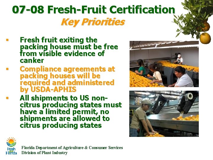 07 -08 Fresh-Fruit Certification Key Priorities § § § Fresh fruit exiting the packing 07 -08 Fresh-Fruit Certification Key Priorities § § § Fresh fruit exiting the packing