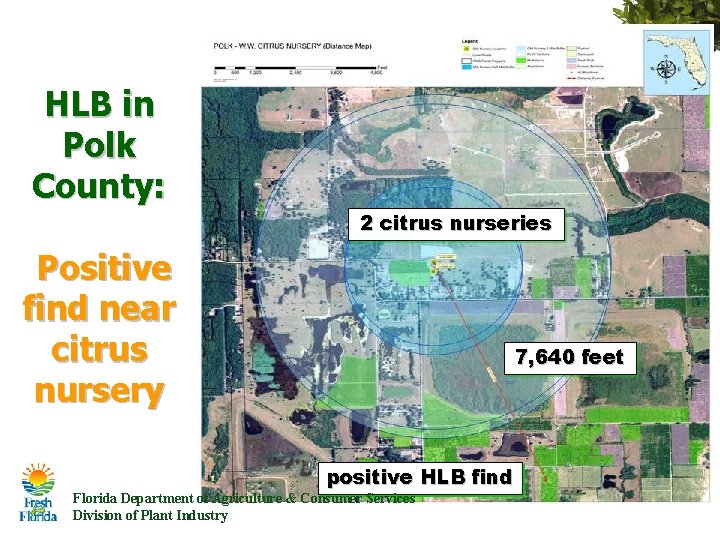 HLB in Polk County: 2 citrus nurseries Positive find near citrus nursery 7, 640 HLB in Polk County: 2 citrus nurseries Positive find near citrus nursery 7, 640
