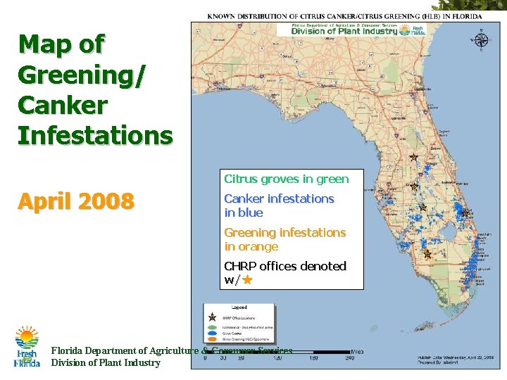 Map of Greening/ Canker Infestations Citrus groves in green April 2008 Canker infestations in Map of Greening/ Canker Infestations Citrus groves in green April 2008 Canker infestations in