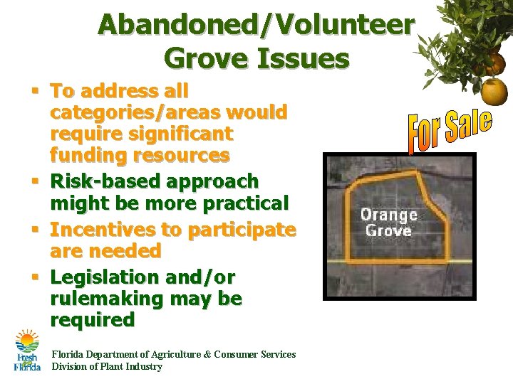 Abandoned/Volunteer Grove Issues § To address all categories/areas would require significant funding resources § Abandoned/Volunteer Grove Issues § To address all categories/areas would require significant funding resources §