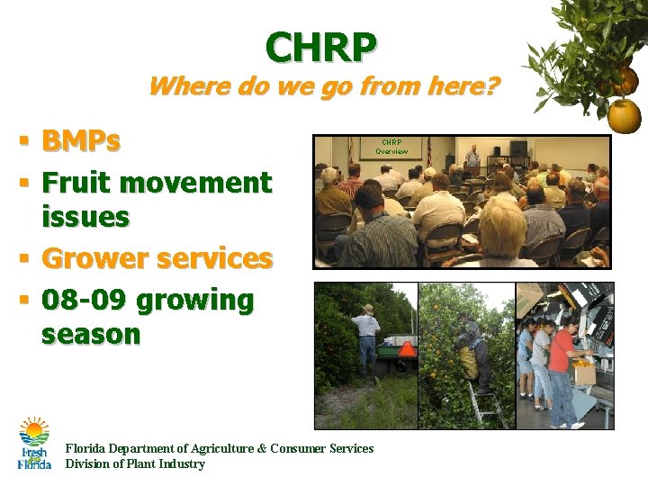 CHRP Where do we go from here? § BMPs § Fruit movement issues § CHRP Where do we go from here? § BMPs § Fruit movement issues §