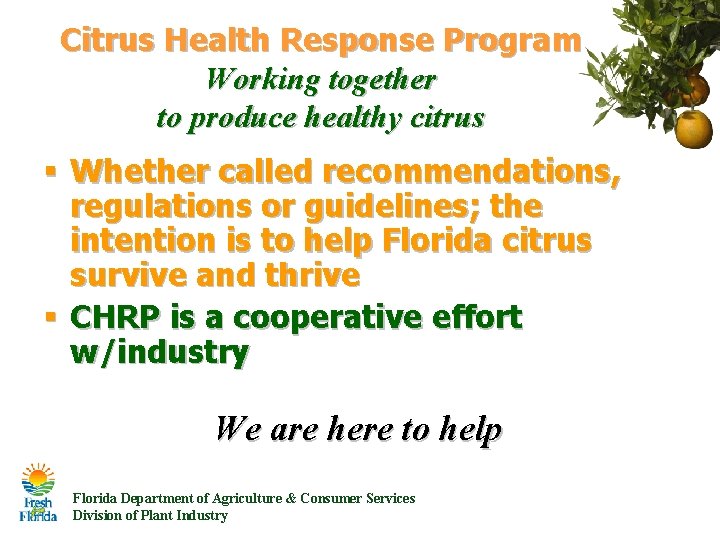 Citrus Health Response Program Working together to produce healthy citrus § Whether called recommendations, Citrus Health Response Program Working together to produce healthy citrus § Whether called recommendations,
