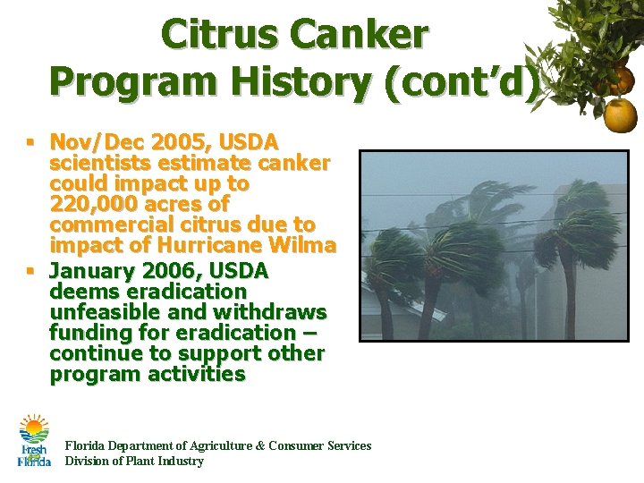 Citrus Canker Program History (cont’d) § Nov/Dec 2005, USDA scientists estimate canker could impact Citrus Canker Program History (cont’d) § Nov/Dec 2005, USDA scientists estimate canker could impact