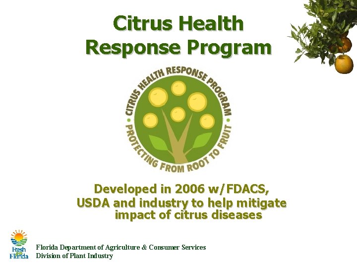 Citrus Health Response Program Developed in 2006 w/FDACS, USDA and industry to help mitigate Citrus Health Response Program Developed in 2006 w/FDACS, USDA and industry to help mitigate