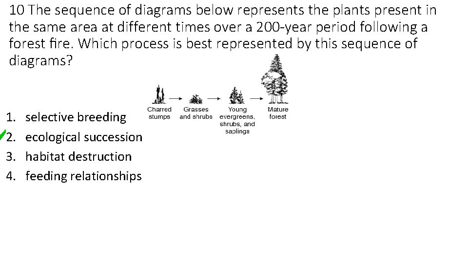 10 The sequence of diagrams below represents the plants present in the same area