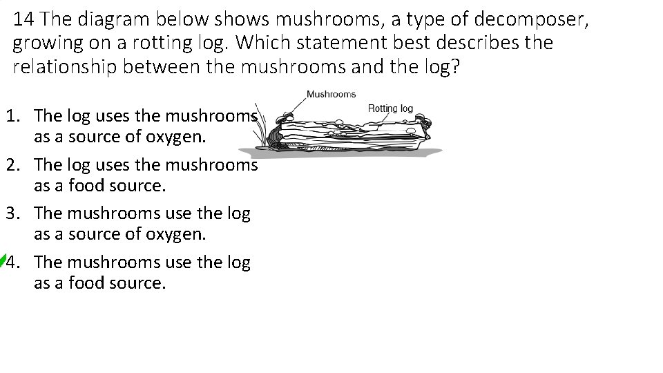 14 The diagram below shows mushrooms, a type of decomposer, growing on a rotting