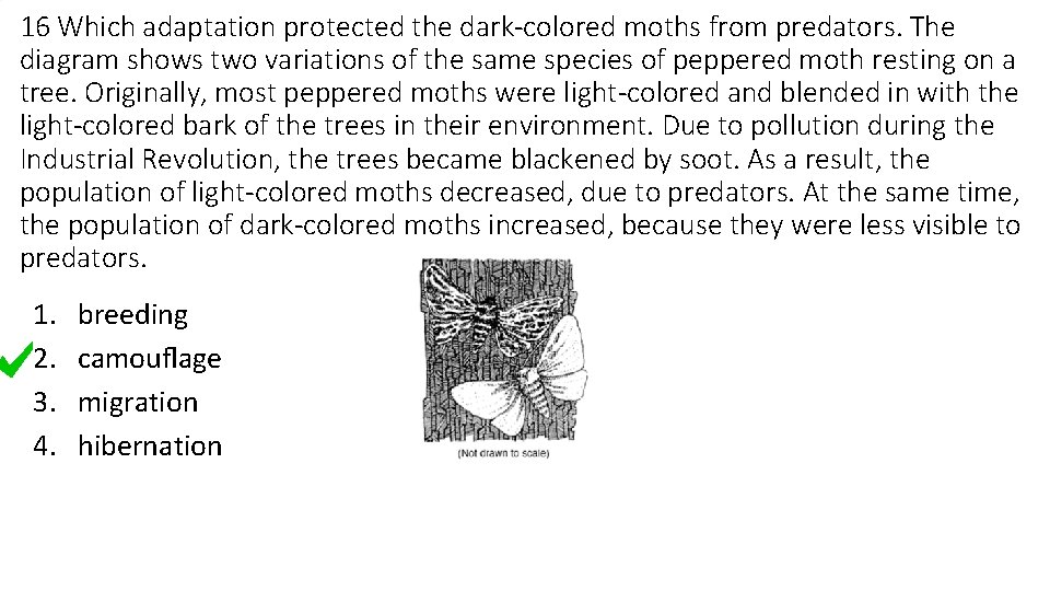 16 Which adaptation protected the dark-colored moths from predators. The diagram shows two variations