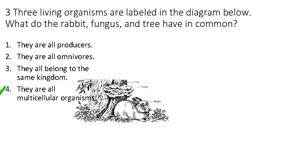 3 Three living organisms are labeled in the diagram below. What do the rabbit,