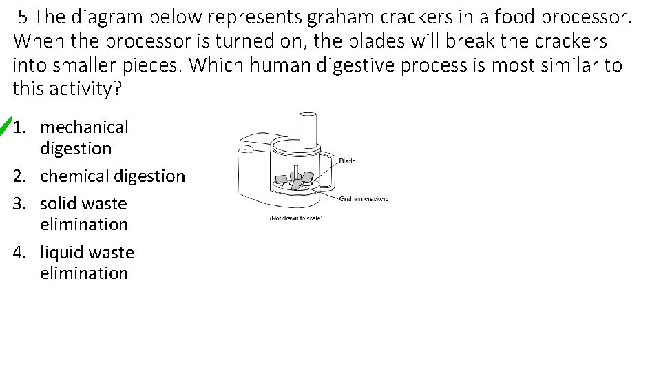 5 The diagram below represents graham crackers in a food processor. When the processor