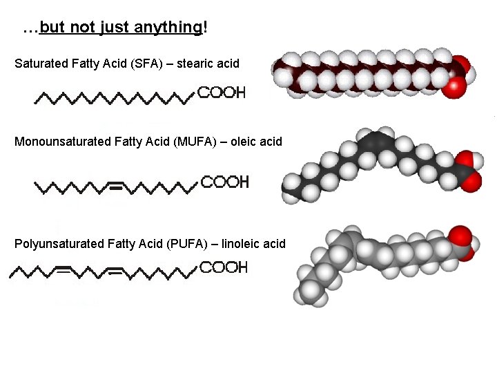 …but not just anything! Saturated Fatty Acid (SFA) – stearic acid Monounsaturated Fatty Acid