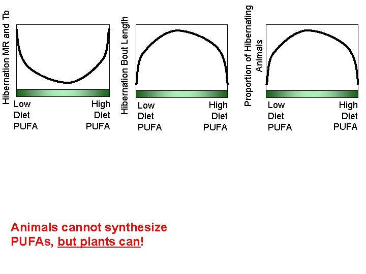 Low Diet PUFA Animals cannot synthesize PUFAs, but plants can! High Diet PUFA Proportion