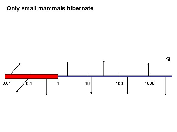 Only small mammals hibernate. kg 0. 01 0. 1 1 10 1000 