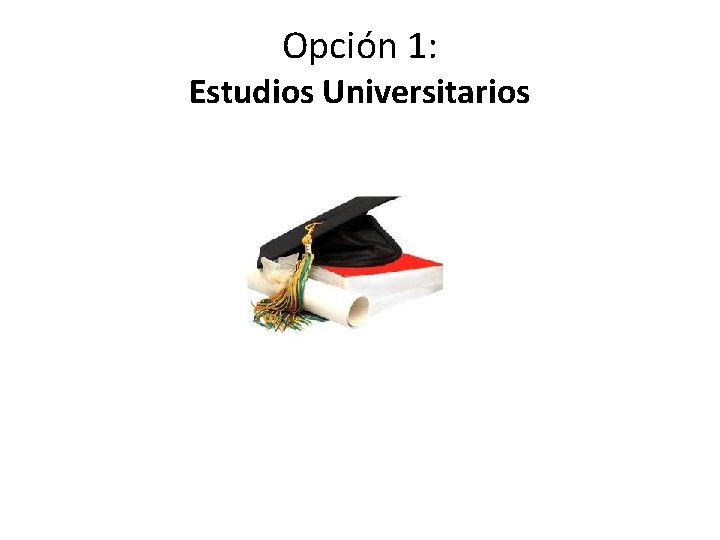 Opción 1: Estudios Universitarios 