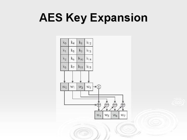 AES Key Expansion 