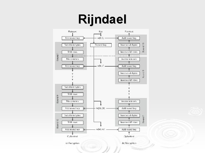 Rijndael 