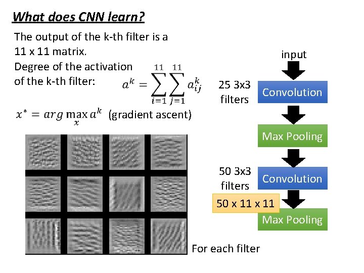 What does CNN learn? The output of the k-th filter is a 11 x