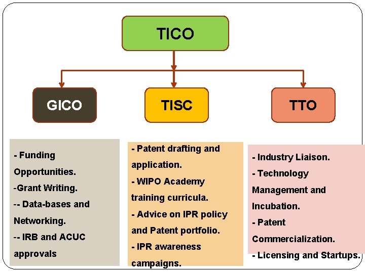 TICO GICO - Funding Opportunities. -Grant Writing. -- Data-bases and Networking. -- IRB and