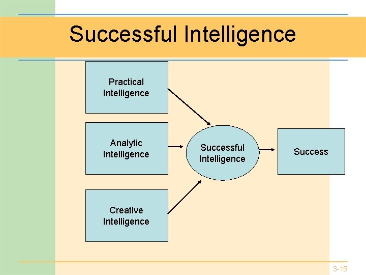 Successful Intelligence Practical Intelligence Analytic Intelligence Successful Intelligence Success Creative Intelligence 3 -15 