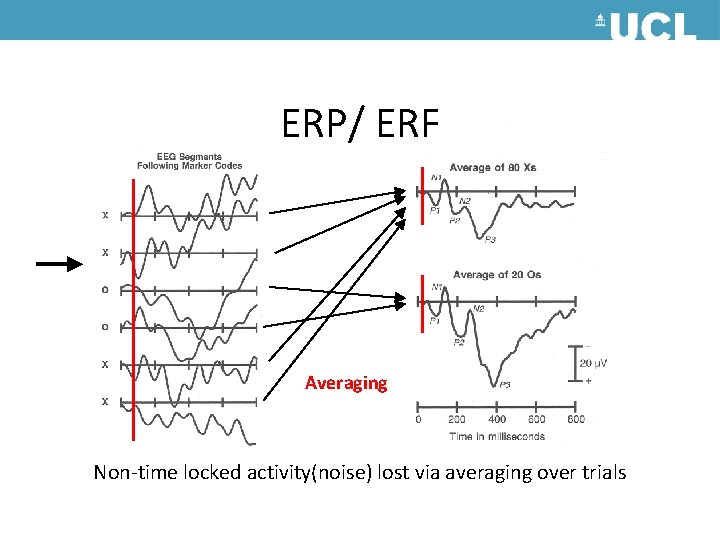 ERP/ ERF Averaging Non-time locked activity(noise) lost via averaging over trials ERP/ ERF Averaging Non-time locked activity(noise) lost via averaging over trials