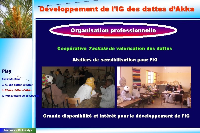 Développement de l’IG des dattes d’Akka Organisation professionnelle Coopérative Taskala de valorisation des dattes