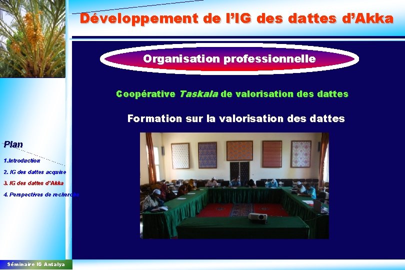 Développement de l’IG des dattes d’Akka Organisation professionnelle Coopérative Taskala de valorisation des dattes