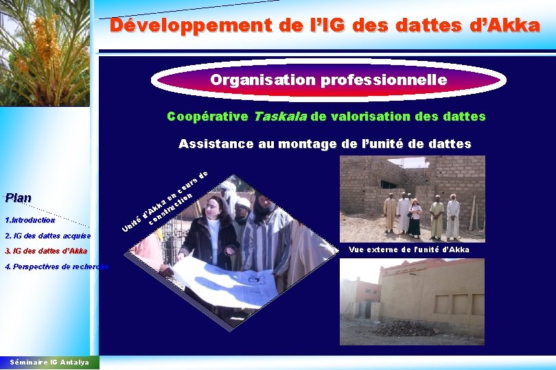 Développement de l’IG des dattes d’Akka Organisation professionnelle Coopérative Taskala de valorisation des dattes