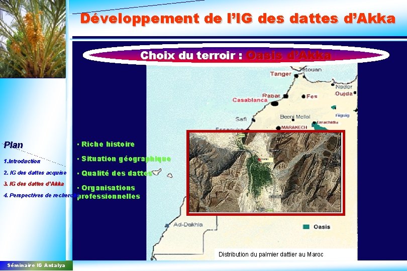 Développement de l’IG des dattes d’Akka Choix du terroir : Oasis d’Akka Plan •