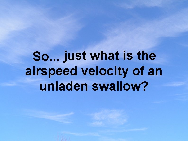 So. . . just what is the airspeed velocity of an unladen swallow? 