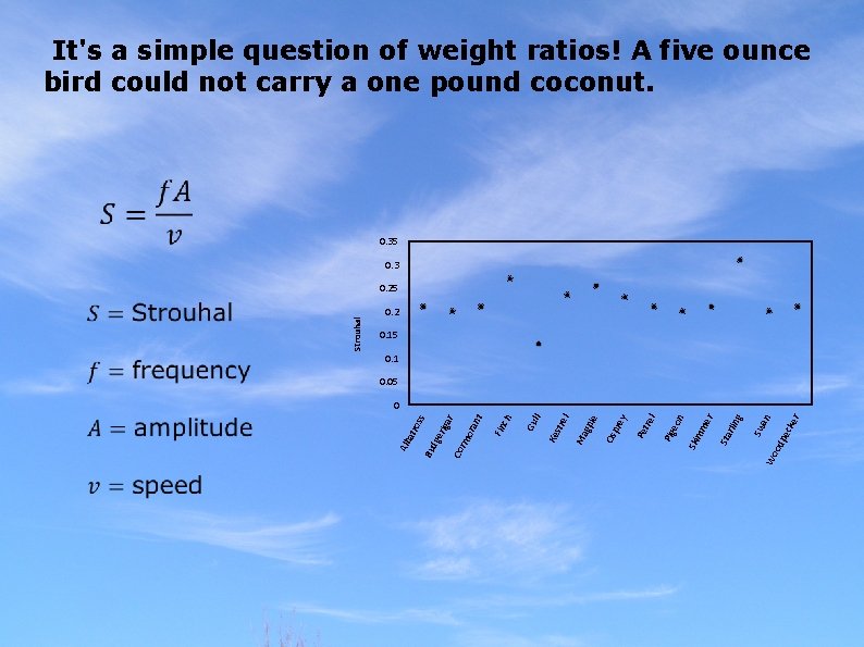  It's a simple question of weight ratios! A five ounce bird could not