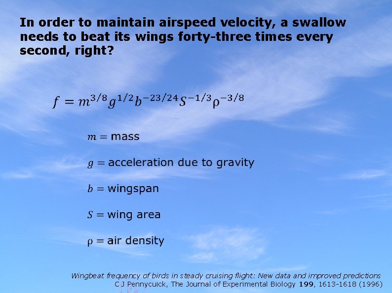 In order to maintain airspeed velocity, a swallow needs to beat its wings forty-three