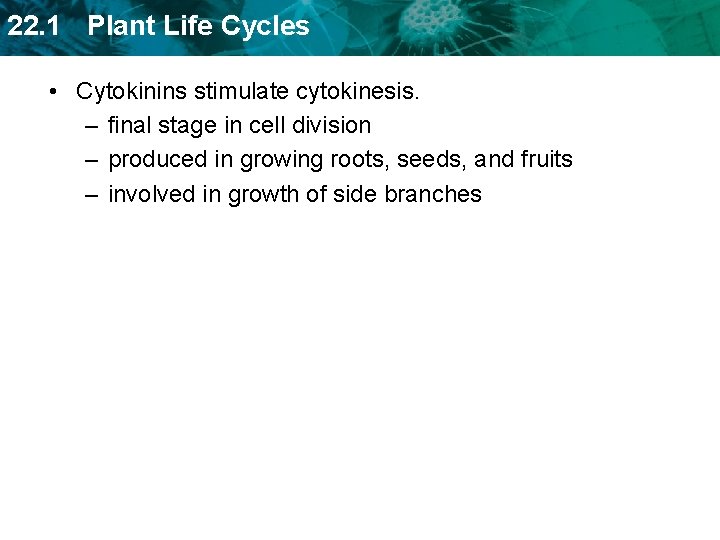 22. 1 Plant Life Cycles • Cytokinins stimulate cytokinesis. – final stage in cell