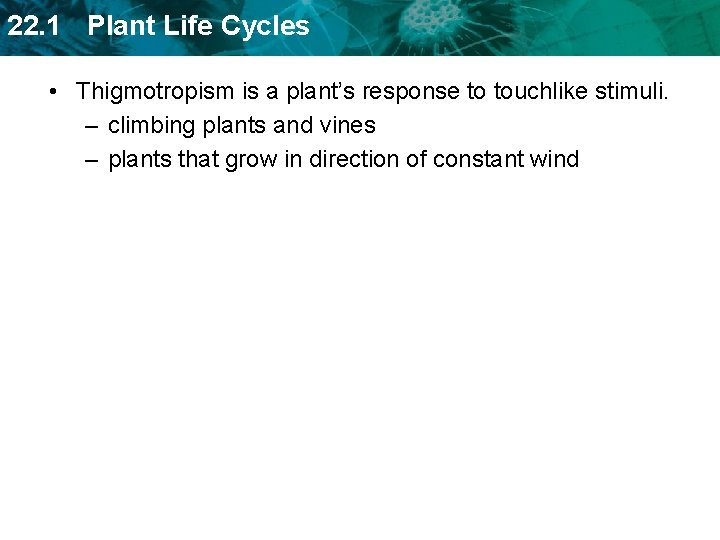 22. 1 Plant Life Cycles • Thigmotropism is a plant’s response to touchlike stimuli.