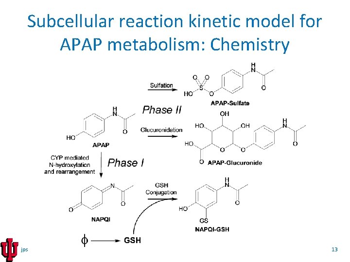Subcellular reaction kinetic model for APAP metabolism: Chemistry jps 13 