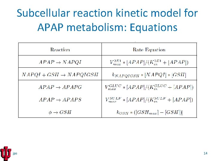 Subcellular reaction kinetic model for APAP metabolism: Equations jps 14 