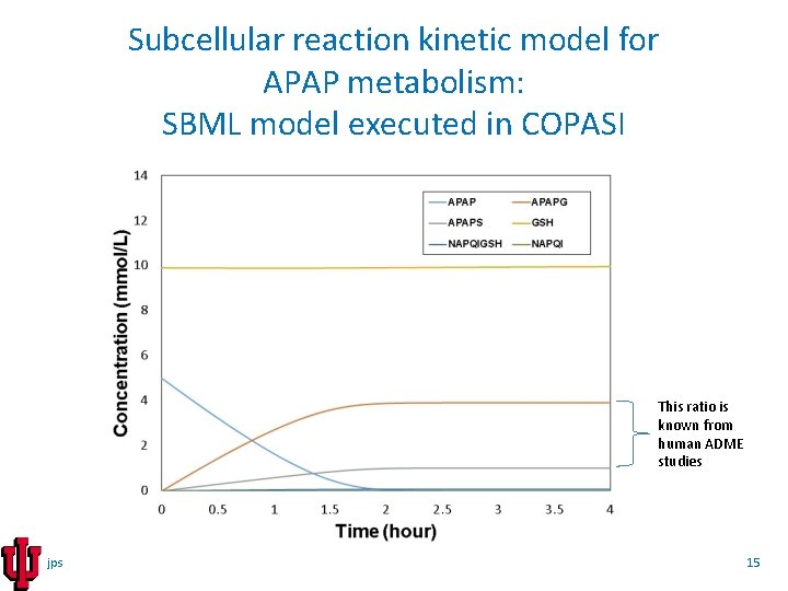 Subcellular reaction kinetic model for APAP metabolism: SBML model executed in COPASI This ratio