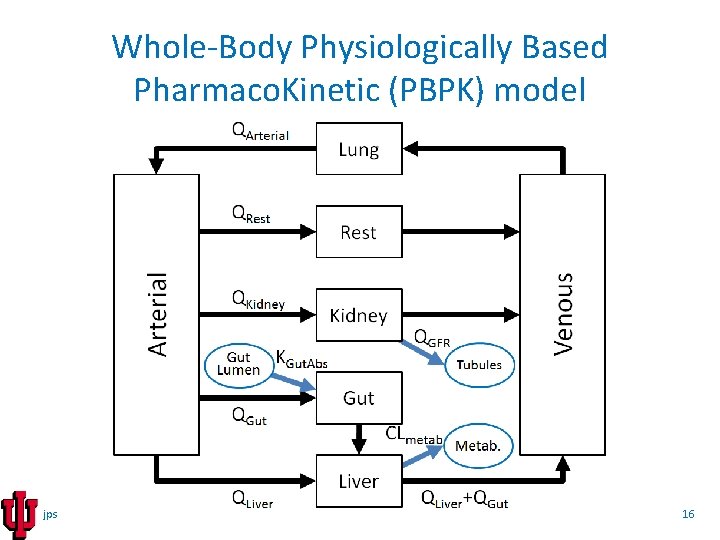 Whole-Body Physiologically Based Pharmaco. Kinetic (PBPK) model jps 16 