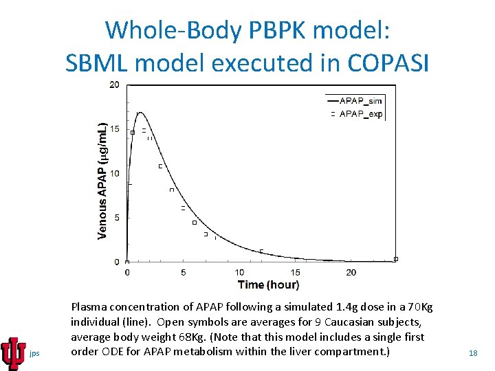 Whole-Body PBPK model: SBML model executed in COPASI jps Plasma concentration of APAP following