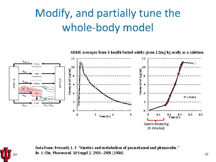 Modify, and partially tune the whole-body model 12 12 10 10 Plasma APAP (ug/ml)