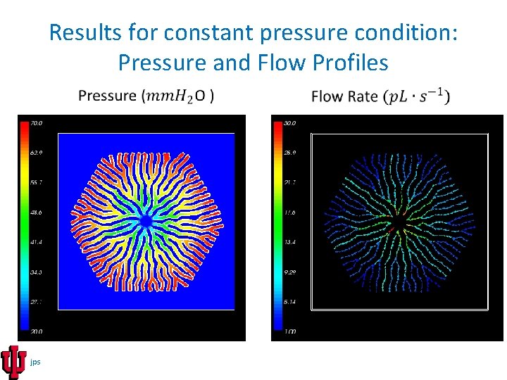 Results for constant pressure condition: Pressure and Flow Profiles jps 