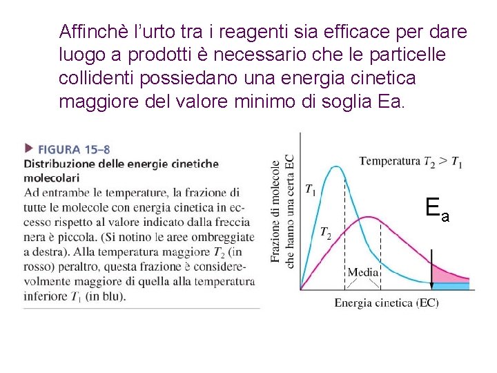 Affinchè l’urto tra i reagenti sia efficace per dare luogo a prodotti è necessario