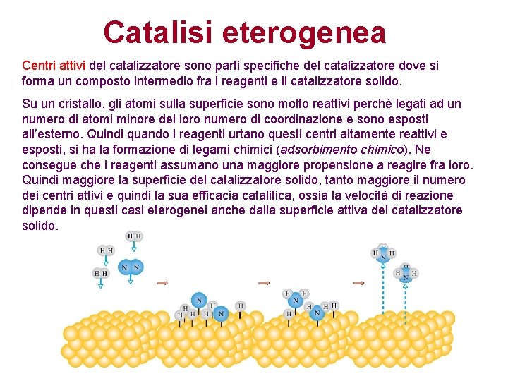 Catalisi eterogenea Centri attivi del catalizzatore sono parti specifiche del catalizzatore dove si forma